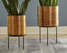 Donisha Planter (Set of 2) - World Furniture Gallery (Newark, CA)