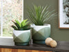 Ardenridge Planter (Set of 2) - World Furniture Gallery (Newark, CA)