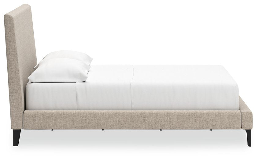 Cielden Upholstered Bed with Roll Slats - World Furniture Gallery (Newark, CA)