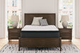 Limited Edition PT Mattress - World Furniture Gallery (Newark, CA)