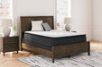 Limited Edition PT Mattress - World Furniture Gallery (Newark, CA)