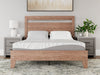 8 Inch Memory Foam Mattress - World Furniture Gallery (Newark, CA)