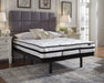 Chime 10 Inch Hybrid 2-Piece Mattress Set - World Furniture Gallery (Newark, CA)